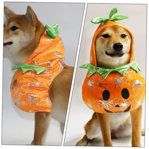 Disfraz de calabaza Halloween para perros y gatos pequeño miniatura 4