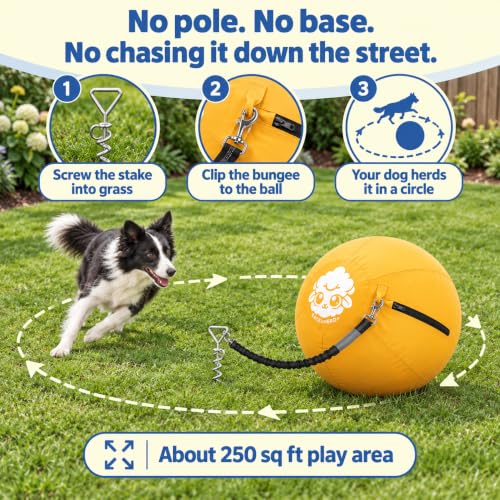 View 4