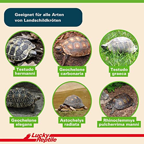 Lucky Reptile Tortoise Bedding 20 l, Landschildkröten Erde – Ansicht 3