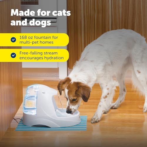 PetSafe Drinkwell Platinum 168oz Pet Water Fountain — view 7