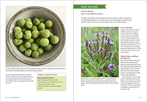 Midwest Medicinal Plants: Identify, Harvest, And Use 109 Wild Herbs For Health And Wellness (Medicinal Plants Series) #TOP5