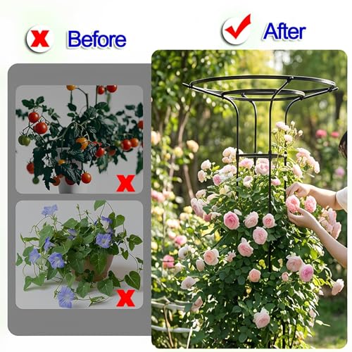 Treillis support plantes grimpantes noir 150cm en métal PE - 6