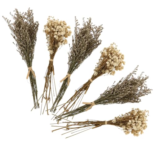 Ramo de flores secas SEWACC 6 piezas decorativas miniatura 1