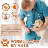 JSBNQRMZ Curcumin für Hunde 180 Tabletten - Gelenke & Verdauung, Entzündungshemmend mit Curcumin und Piperin - Hochdosiert, Natürlich ohne Chemie