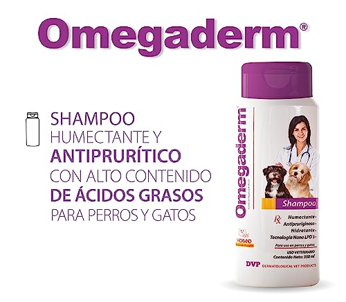 Lista de Shampoo ppt , tabla con los diez mejores. 8 Lista de Shampoo ppt , tabla con los diez mejores. 6