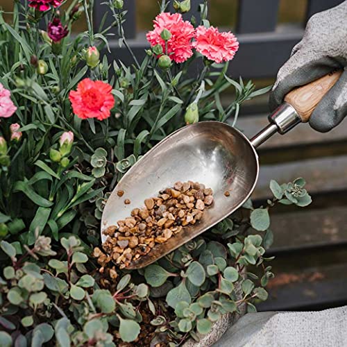 Cuchara de mano para trasplante Kent & Stowe acero inox miniatura 3