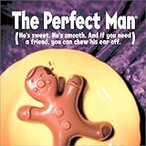  The Perfect Man