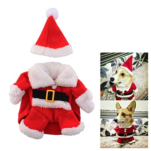 SYMTOP Disfraz Navideño de Papá Noel para Perro Pequeño con Gorro de Navidad para Mascotas Accesorios Fiesta de Navidad Party Foto de Vacaciones de Invierno - L