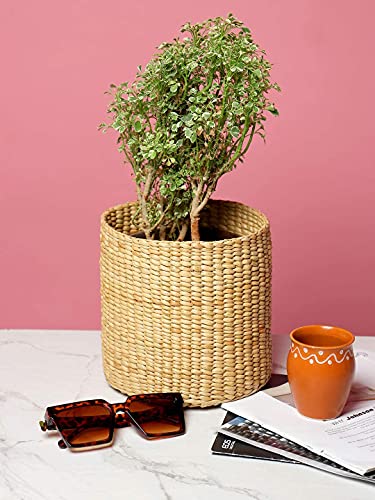 Image of HabereIndia - Kouna Grass Planter Cum Round Storage Basket (Beige, 18 X 18 X 18 Cm)