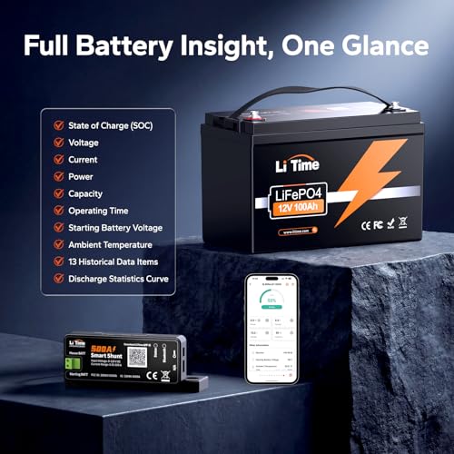 Image of LiTime 500A Bluetooth Battery Monitor, 8V-120V Batteries Smart Shunt M8