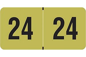 2024 Year Stickers: The Essential Organizational Tool for End Tab File Folders