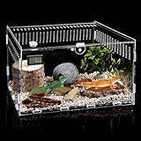 Acryl Terrarium Schnecken Terrariums mit Temperatur Hygrometer, Transparent Reptile Fütterungsbox, 30x20x15cm, Mini Terrarium Reptil Fütterungsbox für Schnecken, Spinnen, Einsiedlerkrebs