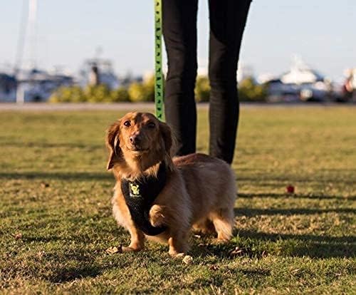 Miniatura 8 de EcoBark Arnés para perro de máxima comodidad diseño sin tirones y que evita estrangulamiento, lujoso chaleco acolchado, respetuoso con el medio