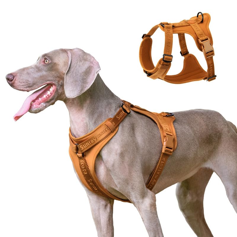 Dog Harness, Soft Lycra, Adjustable, Breathable Mesh Vest for Large Dogs