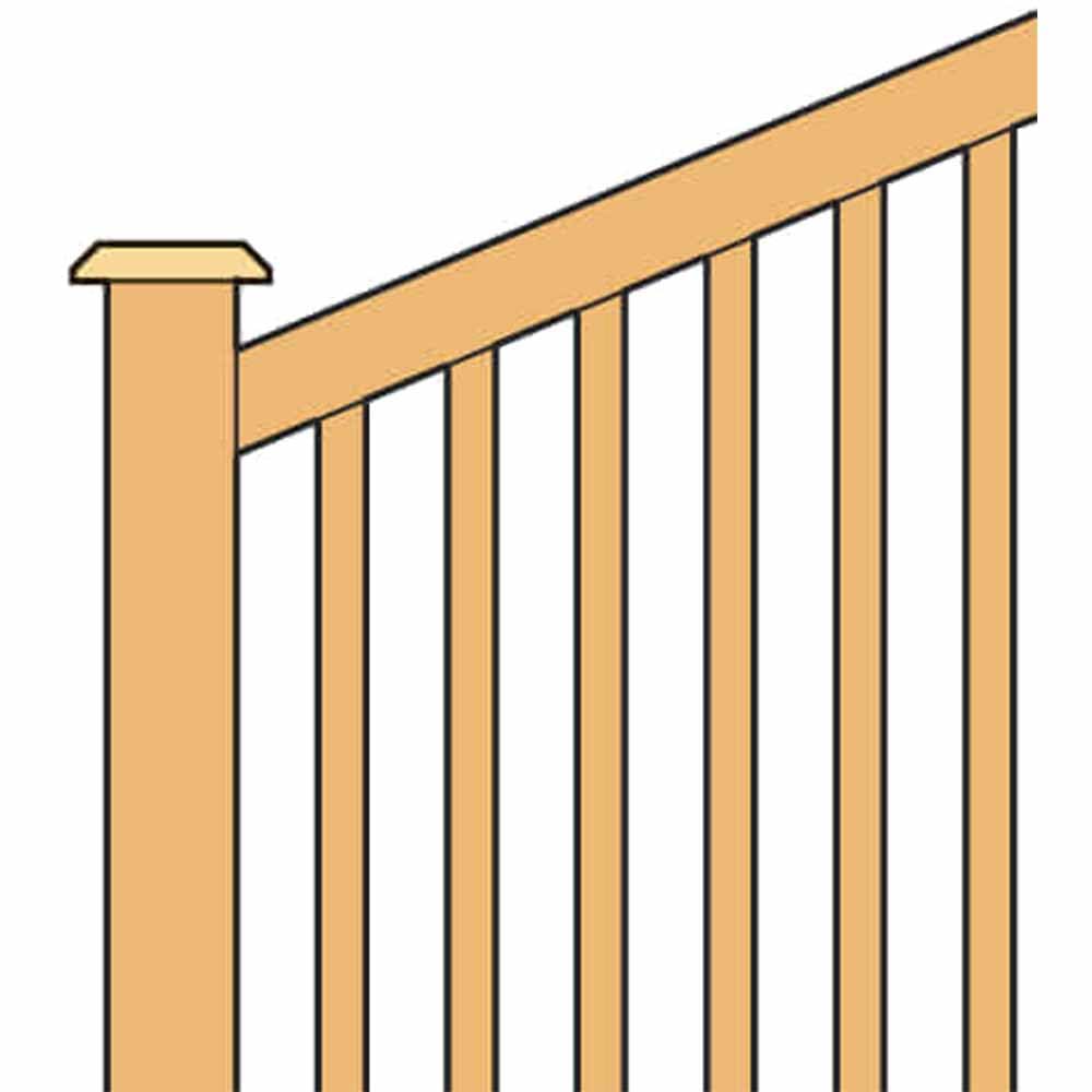 Trend Fresa per smusso 45° guidata da cuscinetto, gambo 1/2, TCT | Per biselli 45° puliti nel legno, guida con cuscinetto, Ø50 mm, lunghezza 19 mm, 46/38X1/2TC