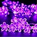 SEMILITS Solar Outdoor String Lights 50LED Flower Shaped Christmas Lights for Patio Garden Decoration Purple