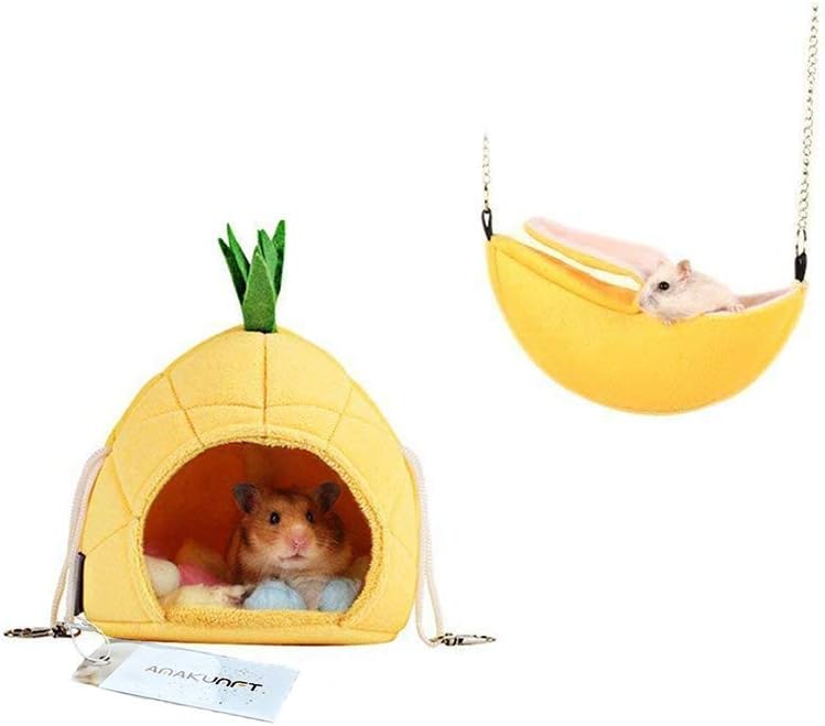 accessories hamster