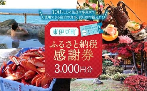 東伊豆町 ふるさと納税 感謝券 3000円 1066 / 静岡県 旅行 宿泊 食事 観光 チケット クーポン 補助 リフォーム ホテル 動物園 海鮮 みかん 金目鯛 稲取 熱川 ギフト 土産