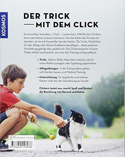 Clickern mit meiner Katze: Tricks, Beschäftigung und Alltagstraining
