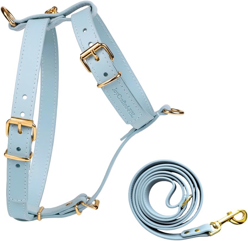 Luxury No Pull Dog Harness and Leash Set, PU Leather Escape-Proof Design, Anti-Choke Comfort, Front/Back Attachment, Essential Pet Supplies for Everyday Walks & Training (Harness Leash Set -Blue, M)
