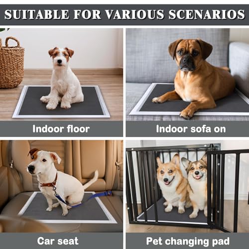 Flying Paws Aktivkohle Hunde PIPI Matten, Einweg-Welpenunterlagen, Schnell Trocknender Oberfläche, Super Absorbierend und Auslaufsicheres Trainingsunterlagen (S:33×45cm, Stück, 50)