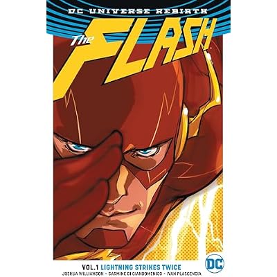 Flash TP Vol 1 (Rebirth)