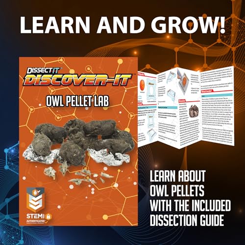 Image of Discover-It Owl Pellet, Science Lab Kit, STEM Toys for Kids, Ages 5+ | Synthetic Bones: Open a realistic owl pellet to discover hidden bones while learning about owls, food chains, and STEM