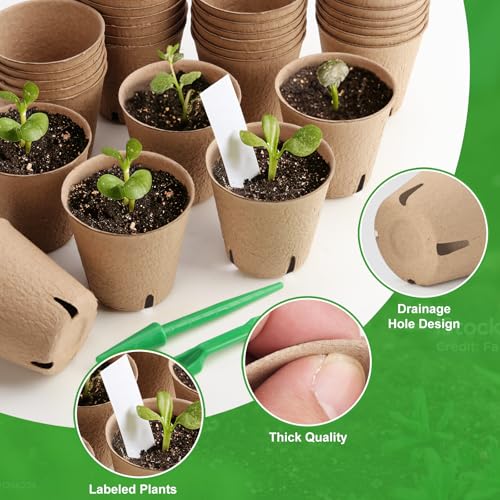 Image of Baxrou 120 Pack 3.15 Inch Peat Pots Plant Starters for Seedling, Biodegradable Herb Seed Starter Pots Kits, Garden Germination Nursery Pot wit 30 Plant Labels, 2 Transplant Tools.