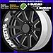 Cod. 0274 - Autocollants pour intérieur de jantes Suzuki Bandit GSX, GSX-R, Vstrom  010 Bianco