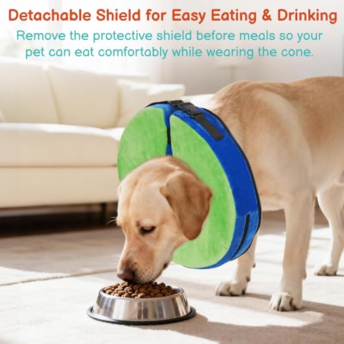 Image of Dog Cone, No-Inflation Sponge Donut Collar for Dogs After Surgery