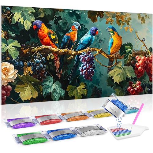 Kit de pintura de diamantes de uvas y pájaros, el regalo ideal para aficionados al arte