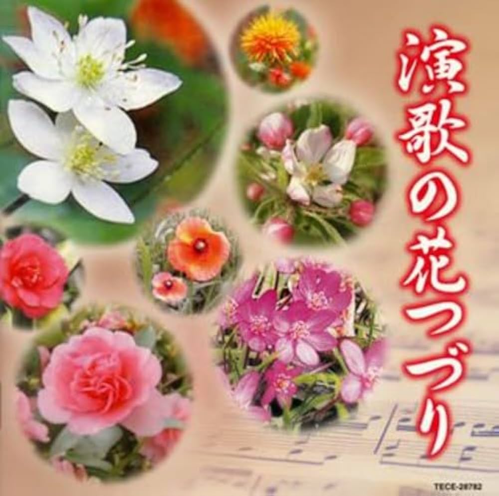 日本の演歌 アルバムセット 3枚組 日本の演歌 アルバムセット 3枚組 日本の演歌 アルバムセット 3枚組