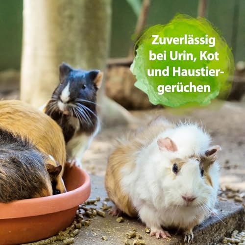 Bactador Enzymreiniger Nagerkäfig Spray 500ml - Geruchsentferner & Reiniger - Gegen Kot, Urin & Tiergerüche - Mikrobiologischer Geruchsneutralisierer - Porentiefe Reinigung in der Nagerumgebung