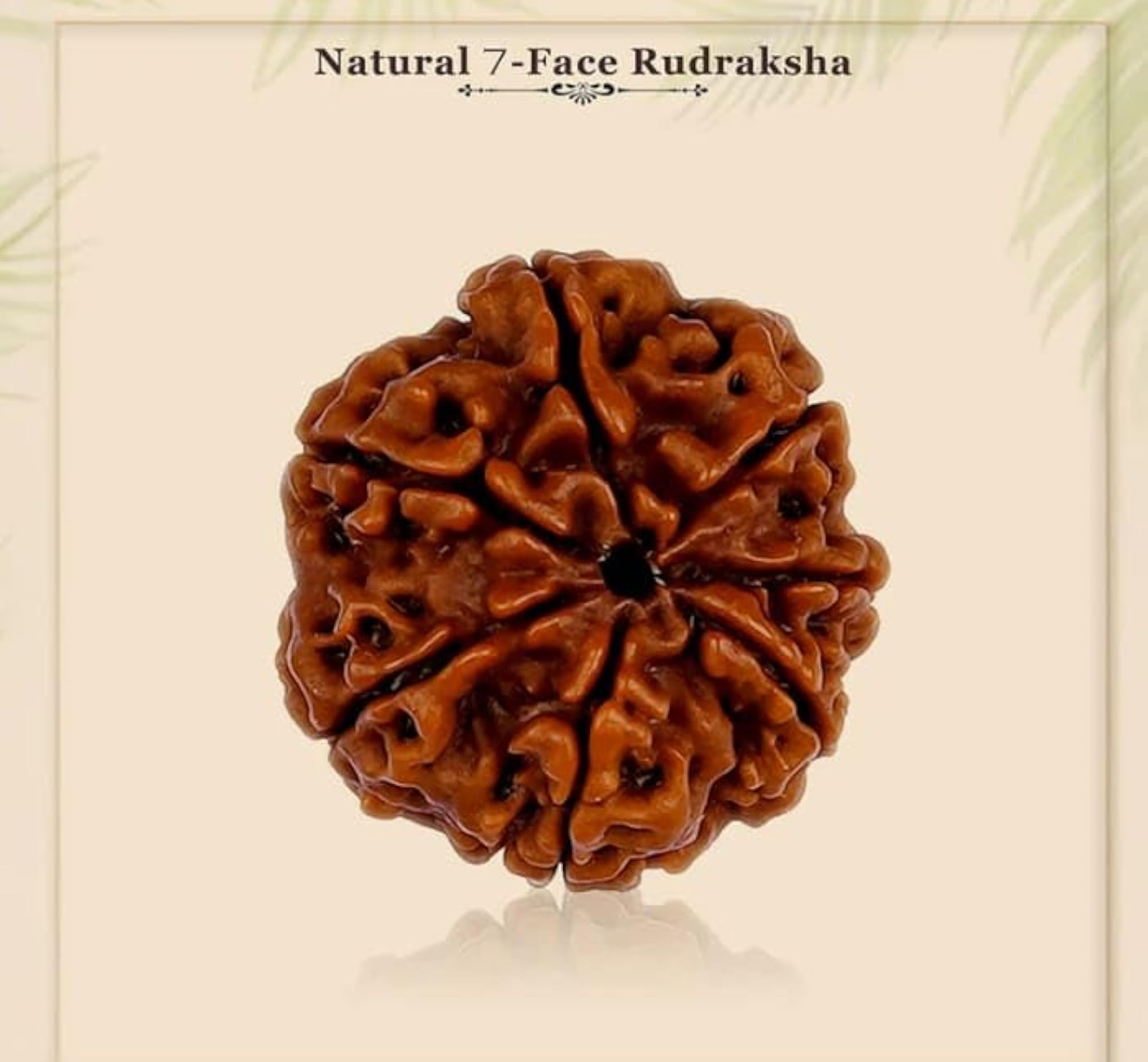 Rudraksha Brown Pendant with Silver Capping, Spiritual