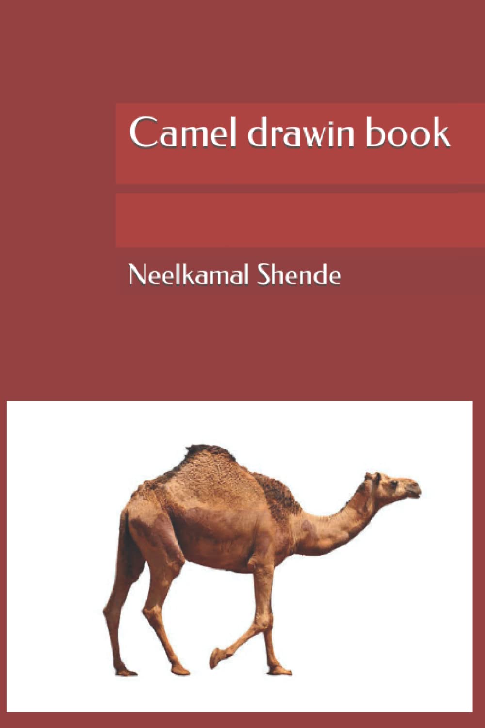 Camel drawin book