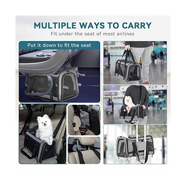 Petsfit-Most-Airline-Approved-Cat-Carrier-Dog-CarriersLarge-Capacity-Lightweight-Washable-Soft-Sided-Pet-Travel-Carrier-for-Other-Samll-Animal-with-5-Sided-Breathable-mesh Large Capacity Pet Travel Carrier