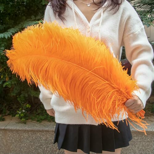Plumas de avestruz blancas naturales, 10 unidades, 30-35 cm, para ramos de boda, centros de mesa, disfraces de carnaval, accesorios, plumas naranjas, 20-25 cm, 20-25 cm.
