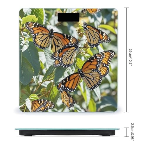 Báscula Digital Monarch Butterflies de Vidrio Templado miniatura 2