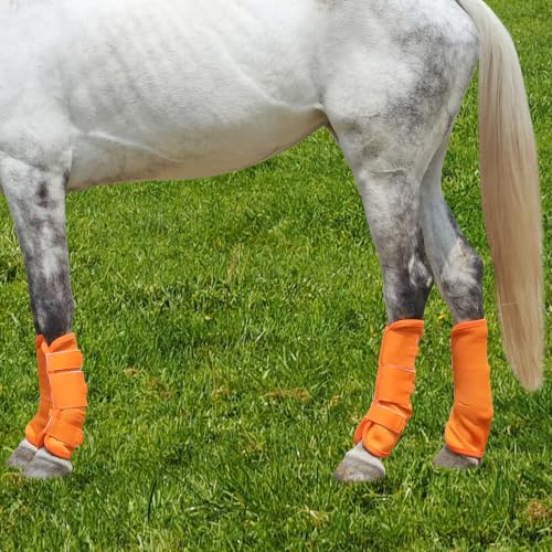 Image of Horse Fly Boots, Mesh Fly Boots for Horse Set of 4, Equine Leg Protection | Breathable Horse Leg Fly Wraps, Horse Leggings Reduce Stomping, Non-Slip Leg Guards for Mini Pony Horse Donkey