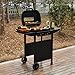 2 Burner Gas Grill BBQ including Cover, Lid and Lava Rock, Foldable Side Tables, Generous 47 x 37cm Cooking Area, Perfect for Outdoor Cooking