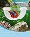 Floating Betta Hammock, Betta Fish Hammock, Floating Rest Platform or Small Aquariums, Nano Tanks, Shrimp, Corydoras, Betta Fish Tank Accessories, Fish Tank Decor, 3D Printed Aquarium Decor (White)