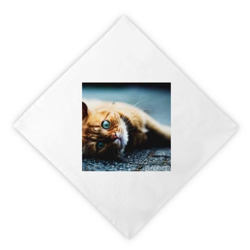 Serviettes en tissu lavables chat pour stopper le gaspillage de papier au dîner