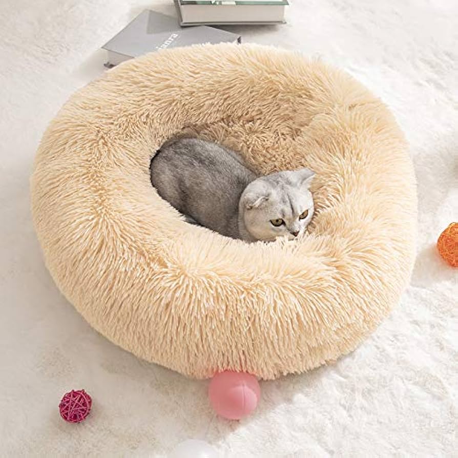 ネコ丸ページ Amazon | CieL 丸型 ペットベッド 猫 ベッド 子猫 犬用ベッド 猫