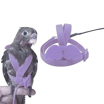 bird leash amazon