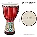 AIMEIS Goatskin Djembe Drum 10'' x 20'' African Hand Drum with Mahogany Body Hand Painted Pattern for Adults Drummer Beginners