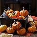 Factory Direct Craft Realistic Fall Mini Artificial Pumpkins - Package of 16 Pumpkins