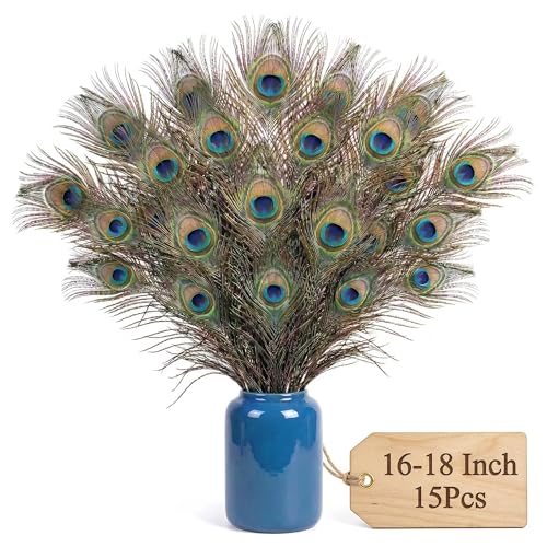 Lamar Peacock Feathers 15 Pcs 16-18 Inch Feathers Bulk Bundle for Tall Vases, Wedding Centerpieces, Home Decor, Costumes, and DIY Crafts