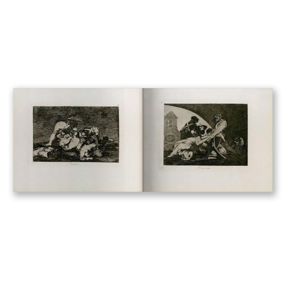 Goya: The Disasters of War /anglais