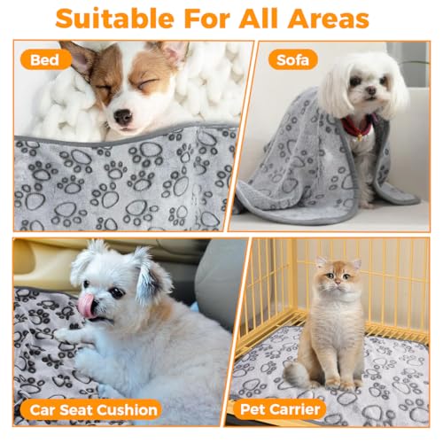 3 Stück Hundedecke Klein Flauschig 60 x 40 cm, Weiche Hundedecken, Waschbar Kuscheldecke Hund, Katzendecke für Katzen, Flanell Welpendecke für Kleine Hunde, Katzen, Welpen, Meerschweinchen, Grau