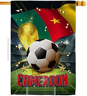 Ornament Collection World Cup Denmark House Flag Sports Soccer Game Goal Ball Football Entertainment Activity Physical Decoration Banner Small Garden Yard Gift Double-Sided